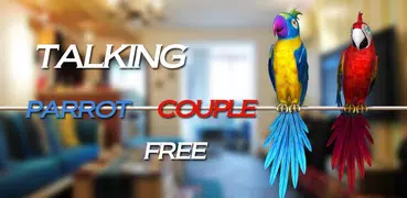 Говорящая пара попугаев