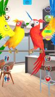 Poster Talking Parrot Coppia