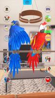 Talking Parrot Couple 截图 1