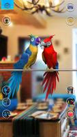 Говорящая пара попугаев скриншот 2