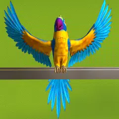 download My Talking Parrot XAPK