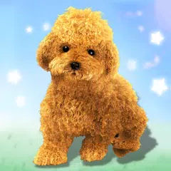 Talking Teddy Dog アプリダウンロード