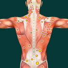 Acupressure Point Guide 图标