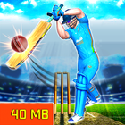 Real World Cricket League 19:  иконка