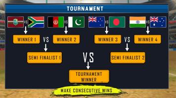 Real World Cricket Tournament Poster