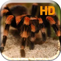 Tarantula Spider Attack Live APK Herunterladen
