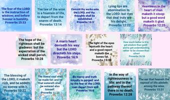 Bible Proverbs Screenshot 1