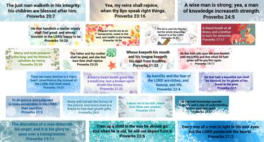 Bible Proverbs Screenshot 2
