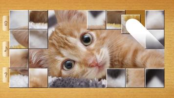 Puzzles de Chat Affiche