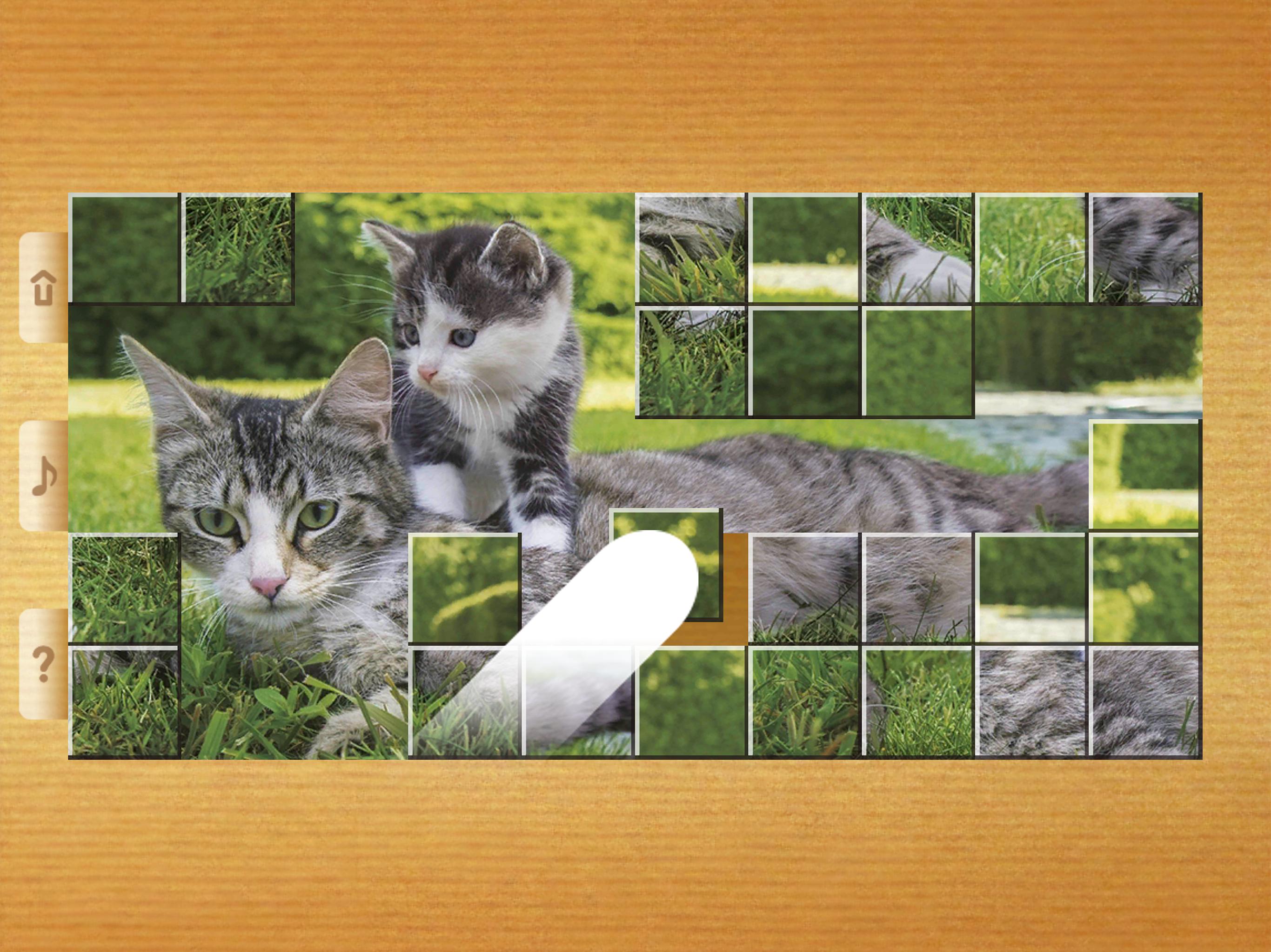 Block cat puzzle