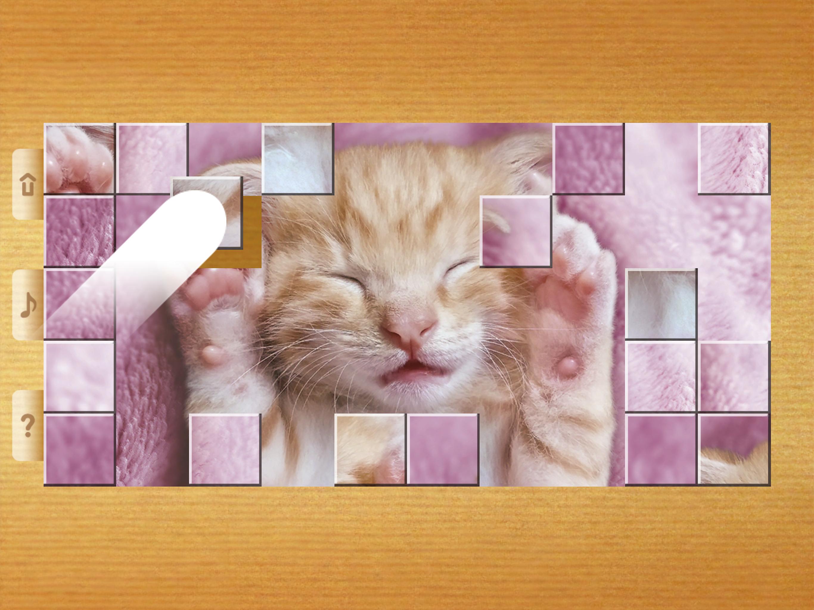 Block cat puzzle. Паззл в кошечкой. Пазл из кошек прямоугольный.