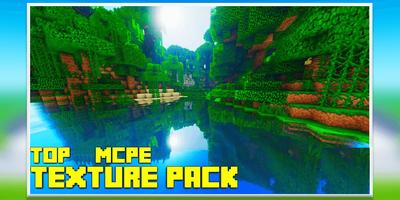 Texture Packs for Minecraft PE скриншот 1