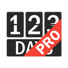 DWI : Compteur de jours (PRO) icône