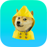 Memer: Best Memes, Meme Creator, Indian Templates