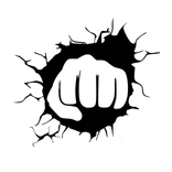 OG Fighter