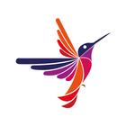 Ecuador Easy English icon