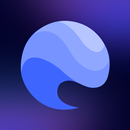 Blowy: Kitesurf wind forecast APK