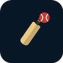 Swing Cricket: Camera Game aplikacja