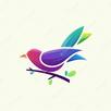 Zimbabwe Birds APK
