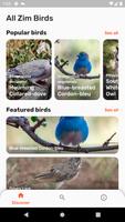 Zimbabwe Birds-poster