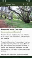 Foresters Wood screenshot 3