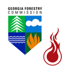 fiResponse Georgia ikona