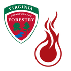 fiResponse Virginia আইকন