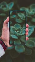 Succulent Wallpaper 截圖 1