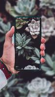 Succulent Wallpaper 截圖 3