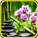 Exercices de relaxation et de respiration APK