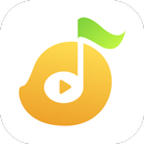 MangoMusic APK