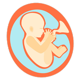 دردشة مع د.مرام -استشارة حوامل