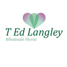 Ted Langley 아이콘