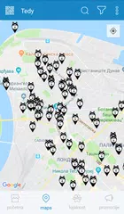 Tedy Loyalty XAPK download