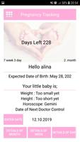 Day by Day Pregnancy Tracker poster