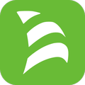 Telepay