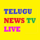 Telugu News TV icône