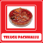 Telugu Pachhallu icône