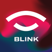 TEAM BLINK eSports