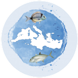 Mediterranean Fish Guide ID APK