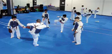Taekwondo-Techniken