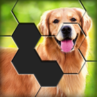 Hexa World Jigsaw-Puzzle Quest আইকন