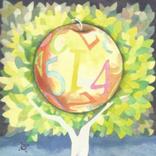 Test Matematica.Potenze