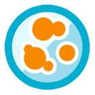 Testy na bakterie - Conbest icon
