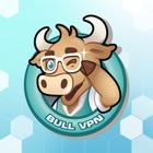 BullVPN アイコン