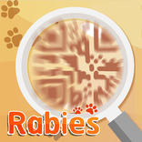 Rabies Scavenger