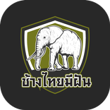 ช้างไทยมีฝัน