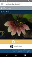 Wild Orchid الملصق