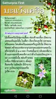 สมุนไพรเฟิร์ส 截图 3