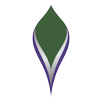 VC Online APK